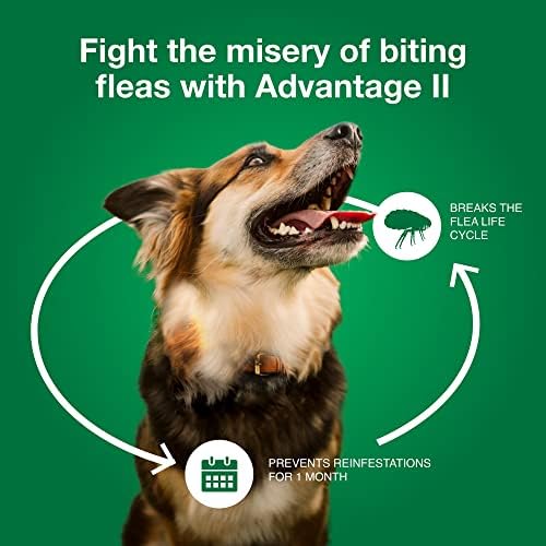 Advantage II veliki pas Vet-preporučuje tretman protiv buva & prevencija | Psi 21-55 lbs. / 4-Mjesečna