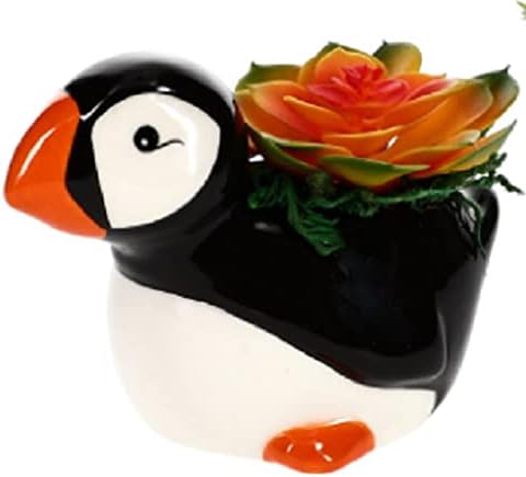 Penguin sočna keramička lonca - jedinstveni cvjetni lonac ili sitni poklon