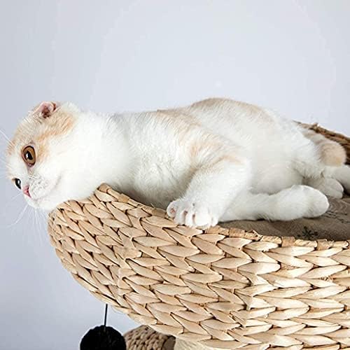 Haieshop Cat Tree Condo Stub Za Grebanje Mačka Kula Mačka Drvo Mačja Kuća Ljetni Nosilj Za Mačke Mali Penjački