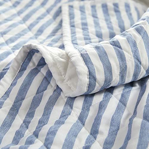 Shalala Queen prekrivači, čelični plavi i bijeli prugasti posteljina posteljina od prekrivača, mekani prekrivač od mikrovlakana i pokrivenost sa 2 ukrasnog jastuka za cijelu sezonu