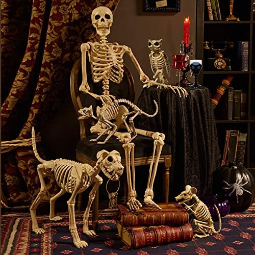 Cozylkx Halloween Dekoracija groblja rekvizirana kosturske kostiju lubanje Ljudska cjeloživotna