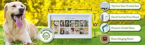 Zeleni Pollywog | moj okvir za slike prve godine za pse | 12-mjesečni okvir za fotografije | okvir od bijelog