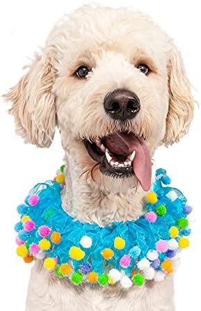 Midlee plavi rođendan pom pom ovratnik za pse