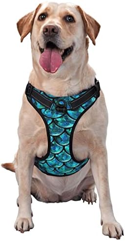 Pas kabelska sirena ljestvica plavi kućni ljubimac Podesivi prsluk na otvorenom