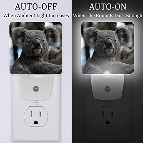 Lorvies Australija životinja Koala Plug in LED noćno svjetlo Auto senzor sumrak do zore dekorativna noć za spavaću sobu, kupatilo, kuhinju, hodnik, stepenice,hodnik,bebinu sobu, uštedu energije