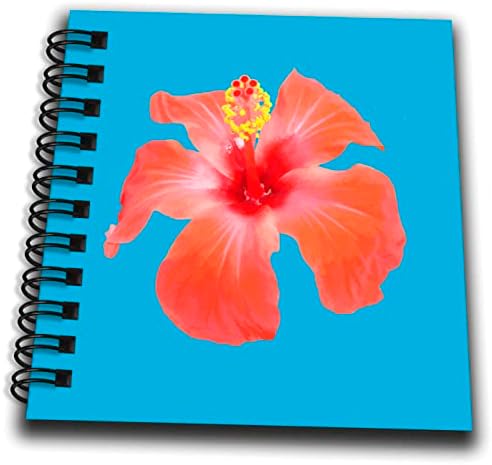3Droza Red Hibiscus vektor izolirana botanička umjetnost - crtanje knjiga