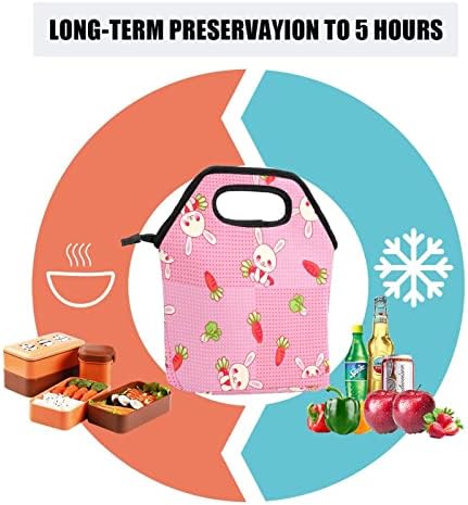 LEVEIS torbe za ručak za žene muškarce tinejdžere, izolovana torba za ručak za višekratnu upotrebu