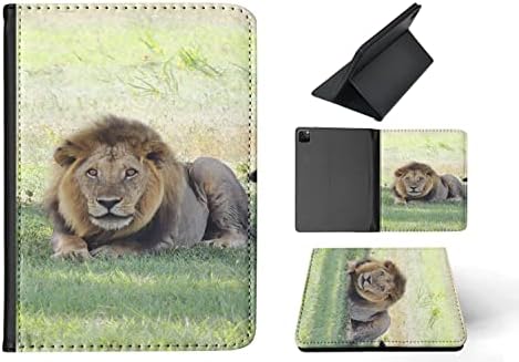 Veličanstveni afrički lav životinja 5 Flip tablet poklopac kućišta za Apple iPad Pro 11 / iPad Pro 11 / iPad