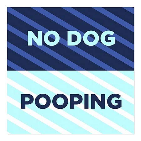 CGsignLab | Nijedan pas Pooping -stripes Blue prozor Cling | 5 X5