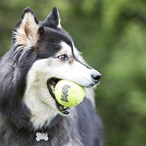 KONG-Squeakair® Balls - pseće igračke Premium Squeak teniske lopte, nežno na zubima - za srednje pse