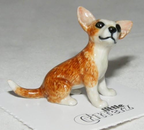 Little Critterz Chihuahua Rascal - Multicolour Decor Minijaturna figurica životinja