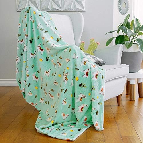 Avafort Velvet Plush Home Fleece bacajte pokrivač za kauč za kauč, topla elegantna nejasna flanela za djecu