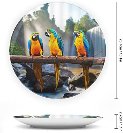 Papagaji Macaw Tropical WaterfallCustom Foto Kosti Kina Dekorativna ploča Ličnost Keramička ploča za večeru za žene Muškarci Pokloni s prikazom