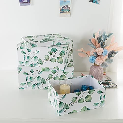 Soul & amp; Lane dekorativne kartonske kutije za Kućni dekor - listovi eukaliptusa-Set od 3: lijepe