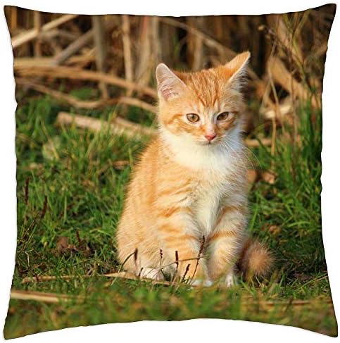 Prekrivač jastuka Lesshaulest - Mačka mače Mačka Baby Young Cat Red Cat Domaća CAT 5