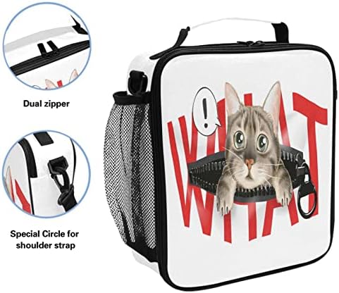 ZZXXB What Cat izolovana torba za ručak za višekratnu upotrebu termo Cooler torba Tote Vanjska