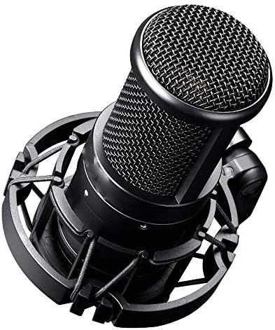 Hgvvnm Professional Studio kondenzator mikrofon Side-address mikrofon računarski mikrofon za snimanje