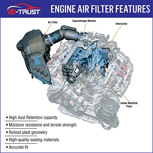 Bi-Trust CA11399 Filter za zrak motora, zamjena za Honda Accord 2014-2015.2017-2021 CR-V 2020-2021 L4