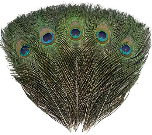 120 kom Stvarno prirodno paunsko perje perje 10-12 inča za DIY plovilo, vjenčanje i odmarališta
