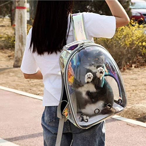 Slamnati prijenosni putni ruksak za kućne ljubimce, dizajn mjehurića svemirske kapsule, prozirni