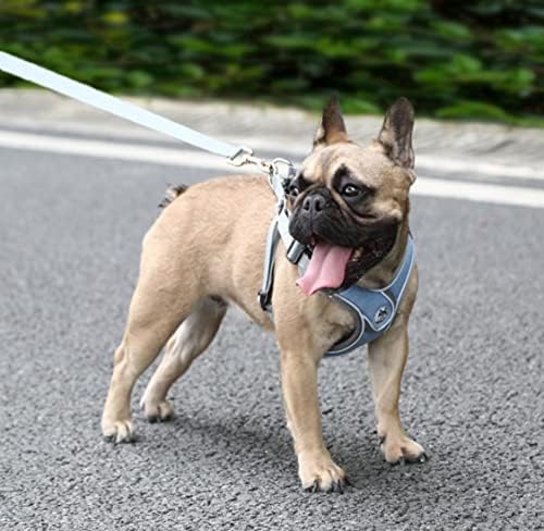 Vkherokv PT-09 štene za kućne ljubimce bez povlačenja kabelskog snopa za šetnju sa povodljivim reflektivnim prslukom