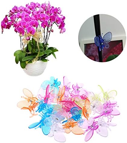 Y-YUNLONG 30 kom klip za orhideje klip za biljke Vrtna cvjetna loza kopče za podršku slatka