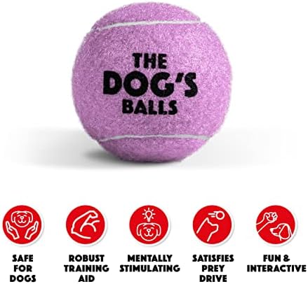 Pseće lopte, pseće teniske lopte, igračka za psa od 12 paketa jorgovana, Jaka Lopta za psa