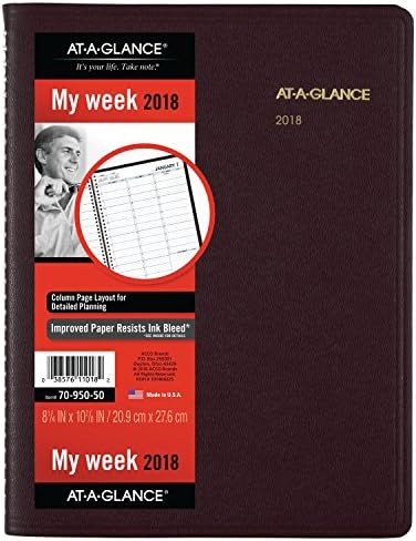 AT-Pleance Weekly Rezervirajte / planer, januar 2018. - januar 2019., 8-1 / 4 x 10-7 / 8, winstone