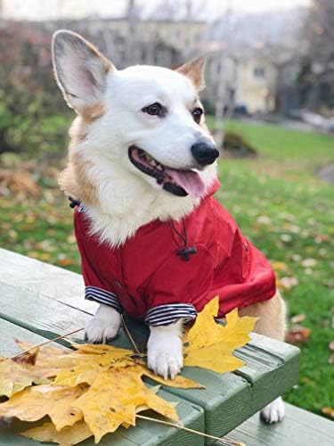 Crvena kabanica za psa sa patentnim zatvaračem sa reflektirajućim dugmadima, džepovima, vodootporna, Podesiva vezica, uklonjiva kapuljača - dostupna veličina XS do XXL-elegantne Premium kabanice za pse Ellie Dog Wear