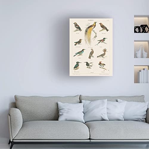 Zaštitni znak Likovne umjetnosti 'Bird Chart I' Canvas Art by Wild Apple Portfolio 18x24