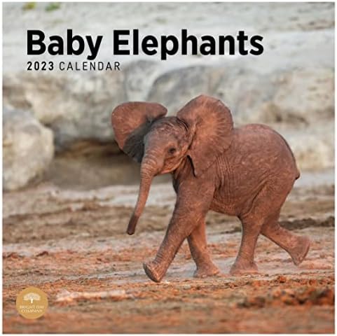 2023 Zabranjeni slonovi Mjesečni zidni kalendar od vedrog dana, 12 x 12 inča, slatki safari