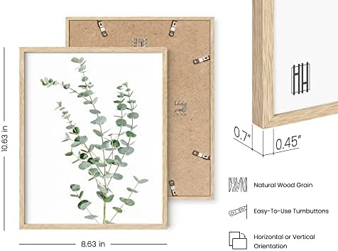 Botaničke grafike uokvirene Haus i nijanse-Set od 4 uokvirene biljne slike zidna Umjetnost, Botanički