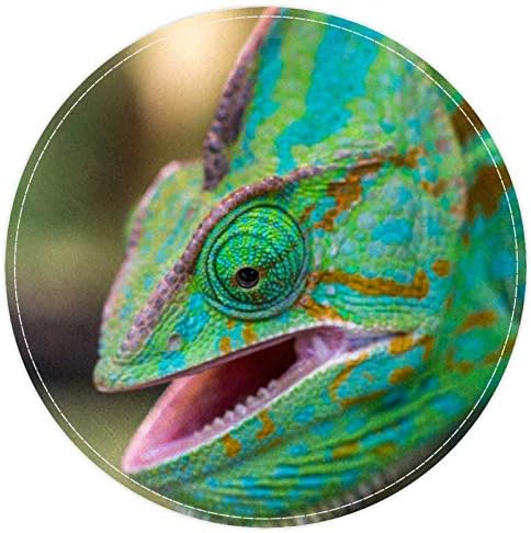 Heeroeh Reptile Gušter Zelena kameleon, non klizni vratat 15.7 Rudarske tepihe tepiha tepiha za djecu spavaću