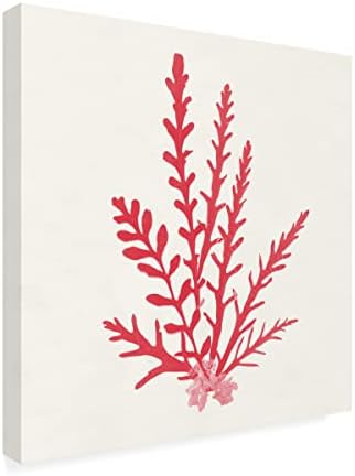 Zaštitni znak likovne umjetnosti 'Pacific Sea Masses III crveno' platno umjetnost portfelja Wild Apple 14x14