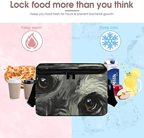 Ulje za farbanje Šnaucerove torbe za hlađenje pasa sa naramenicom sklopiva izolovana nepropusna kutija za led sa patentnim zatvaračem za radna jela za piknike