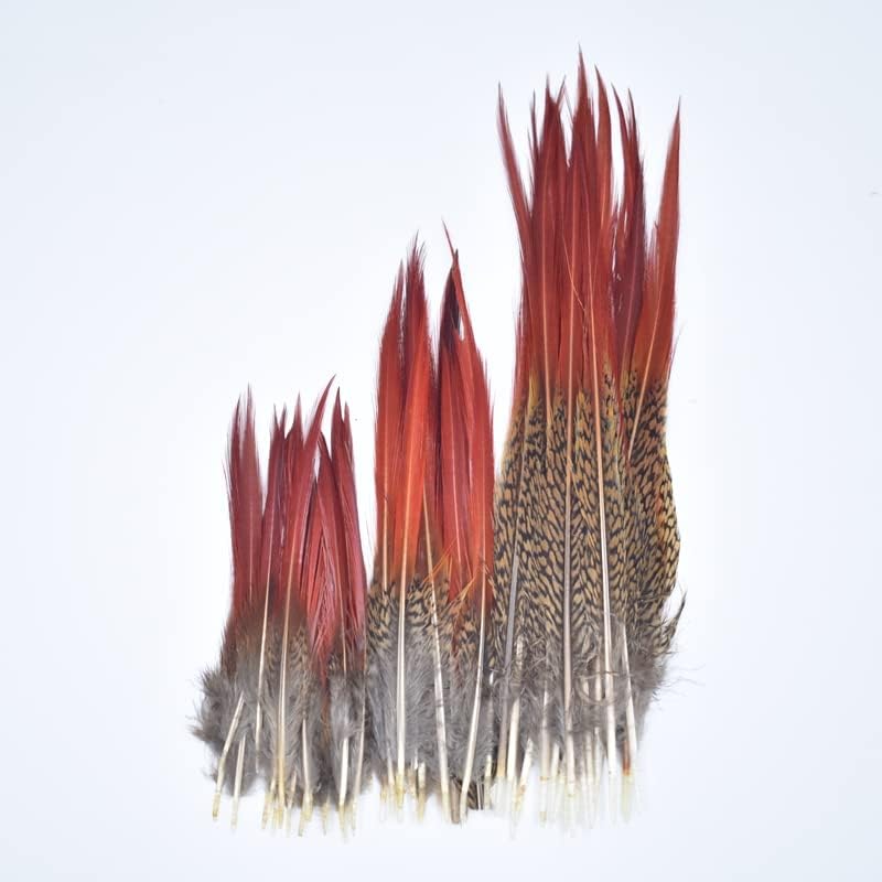 TTNDstore rijetke fazana perje 5~25cm / 2-10 prirodna kosa perje za odjeću pero Plume ukras Plumas