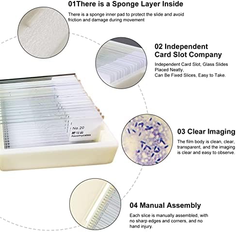 20 slajdova biologije i patologije pripremljene mikrobiološke bakterijske uzorke mikroskopski set sa plastičnom kutijom