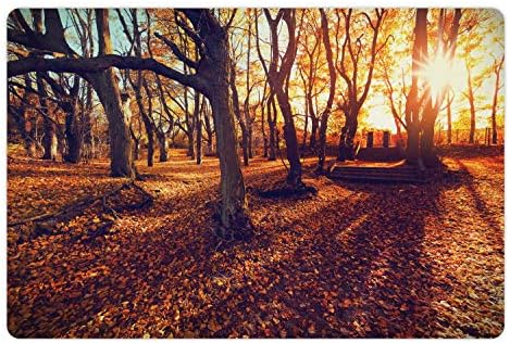 Lunarable šuma Pet Mat za hranu i vodu, Zalazak sunca u šumi lišće opalo lišće stara stabla opuštajući krajolik slika Print, pravougaonik neklizajuće gumene Mat za pse i mačke, žuta braon