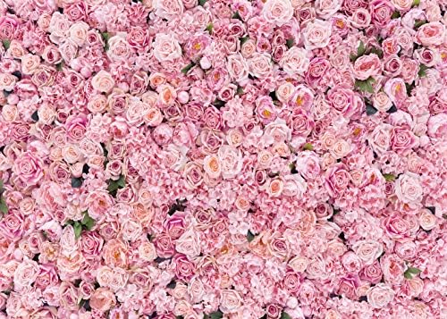 BINQOO 5x3ft Majčin dan Pink Rose zid pozadina proljeće cvijet djevojke rođendan čajanka Pink Cvijeće