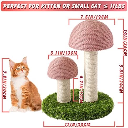 Lihaobm mačka grebanje Post-gljiva mačka grebalica Sadrži sa prirodnim Sisal kape ogrebotina stub i čvrsta baza za mačiće & male mačke-Pink