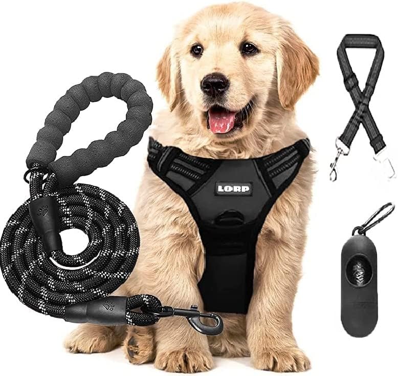 Pas jarke i povodac set-nema pojavljivanja pasa za pse srednje veličine - boja crna. Sadrži besplatni povodac od 5 stopa i pseći sigurnosni pojas