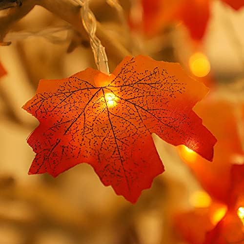 Zitokin javorov list LED svjetlo niz Harvest Festival Home dekor jesen AA baterija svjetlo niz jesen