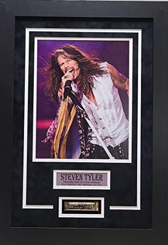 Steven Tyler Aerosmith potpisan autogram harmonika Shadow Box JSA Certified